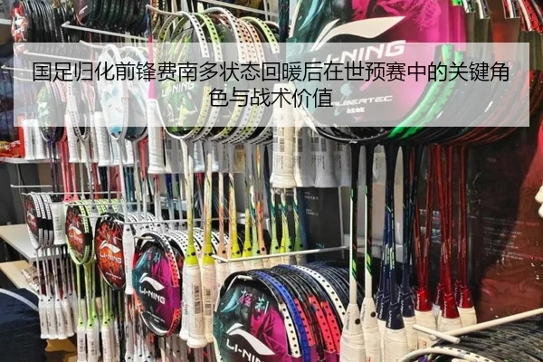 国足归化前锋费南多状态回暖后在世预赛中的关键角色与战术价值